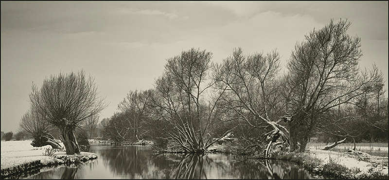 David Kelly - River Stour.jpg